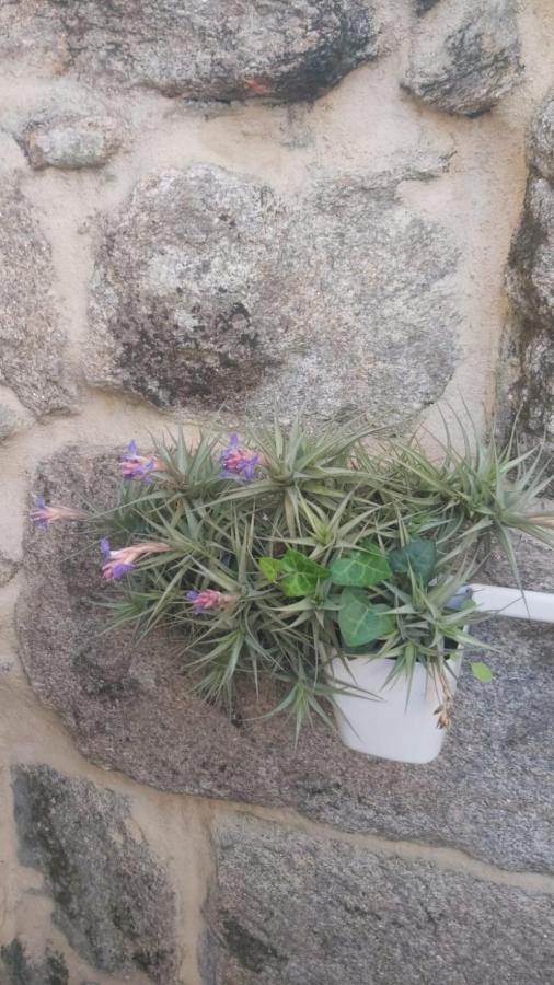 Vivienda Con Terraza En Playas De Baiona公寓 外观 照片